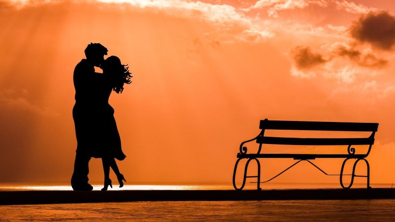 Family conflict vector