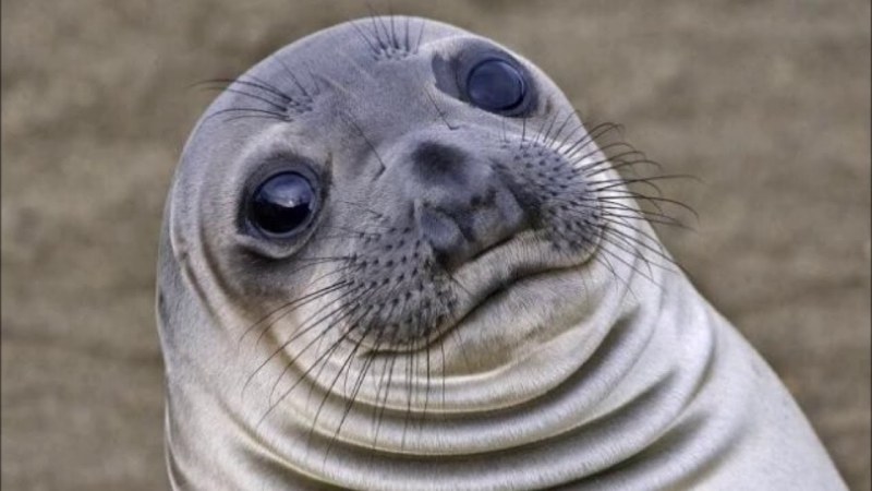 Puella Mages Madoca Magika