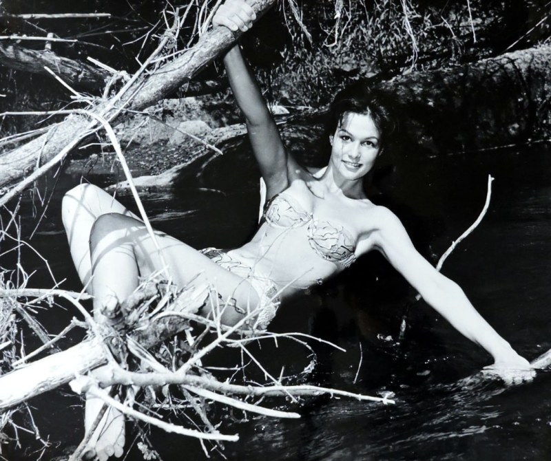 Julia Logacheva model