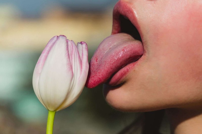 The girl licks the flower