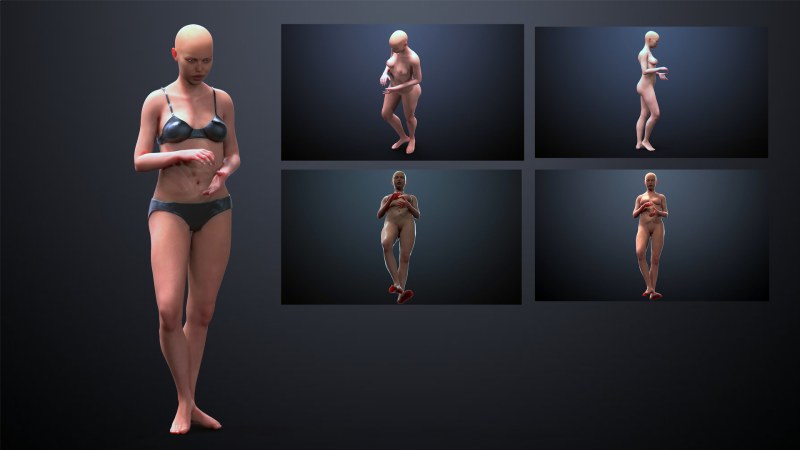 Female body from different angles