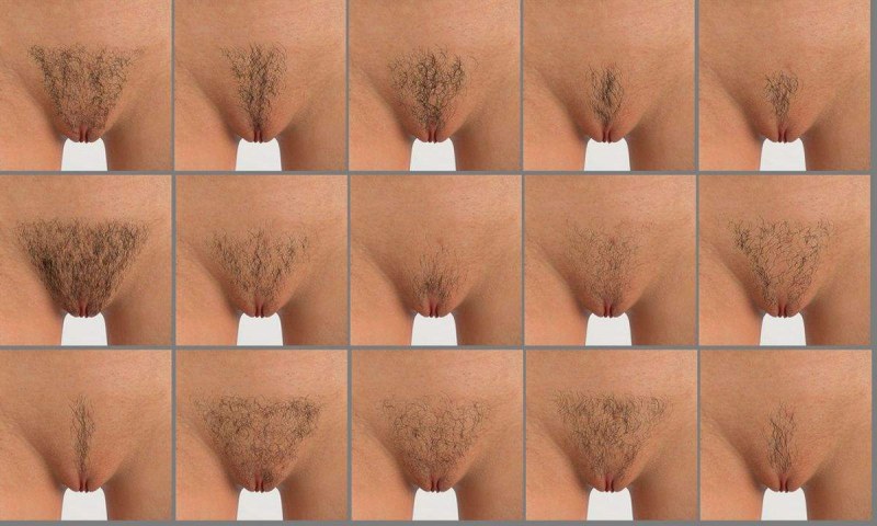 Pubic hair model