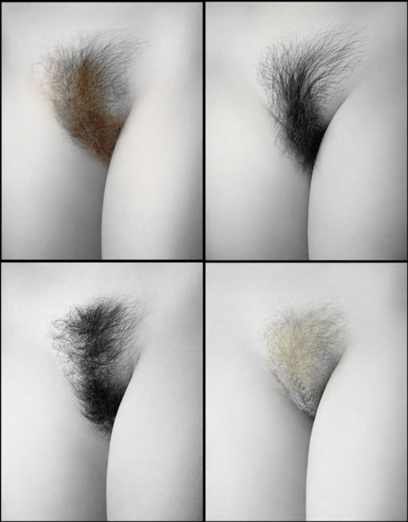 Long pubic hair