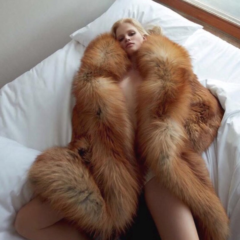 Fur fetish transvestites
