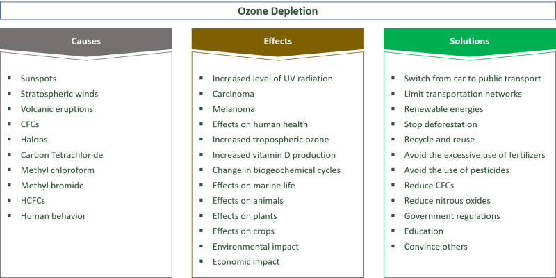 Carrie Chambers actress