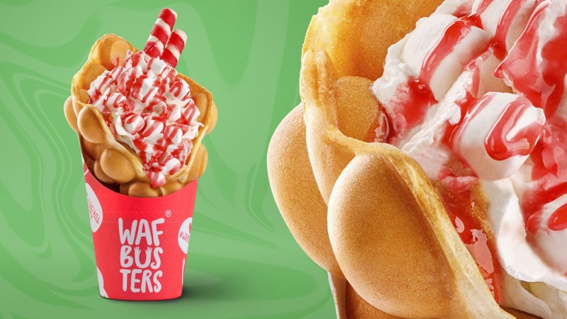 Hong Kong Waffley Vector