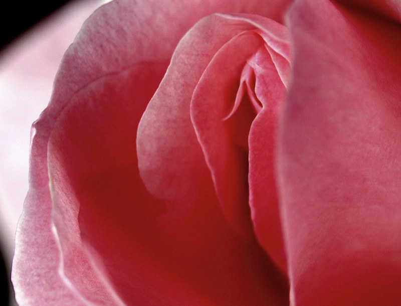 A sign of prohibition of panties