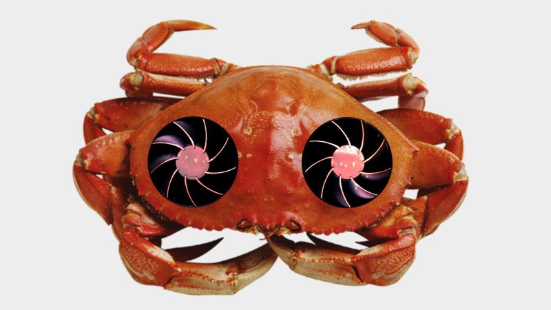 The science of crabs