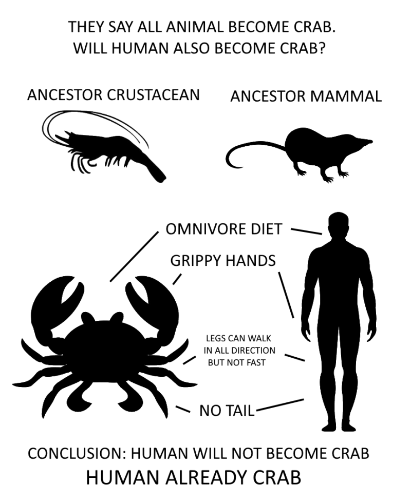 Convergenate evolution of crab