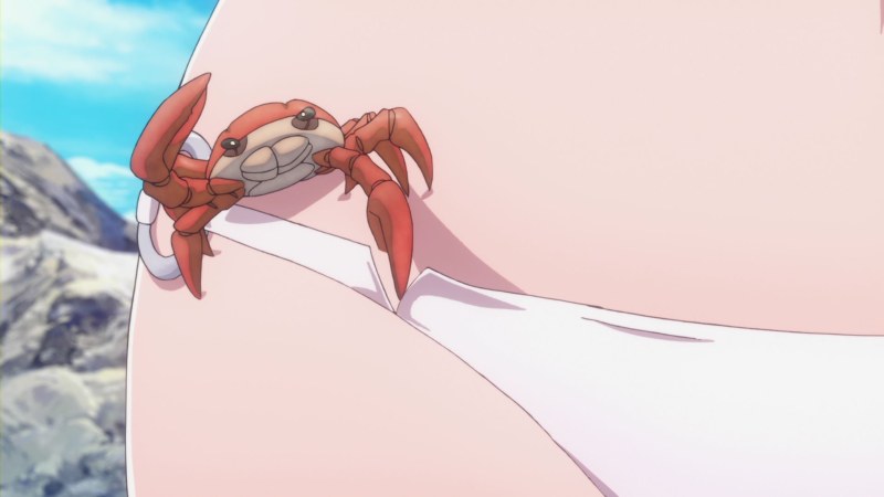 Crab on the shore