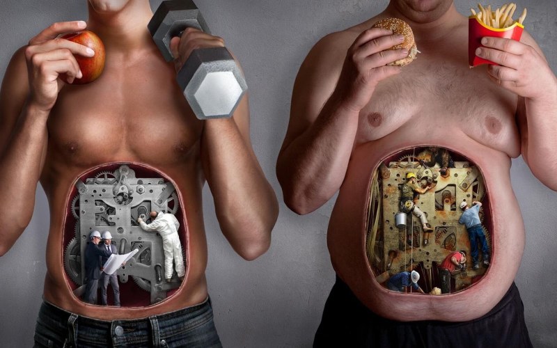 Healthy and unhealthy lifestyle