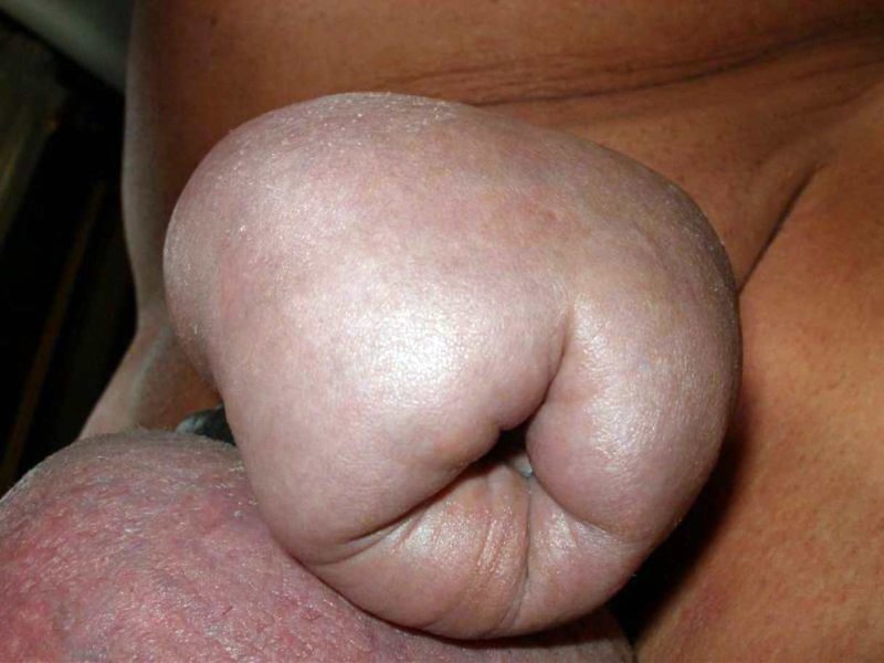 Low Hanging Shaved Balls with Girlfriend's Shaved Pussy