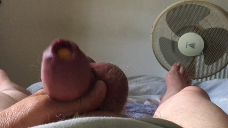 We Bare Bears Lucy Rule34 Hentai