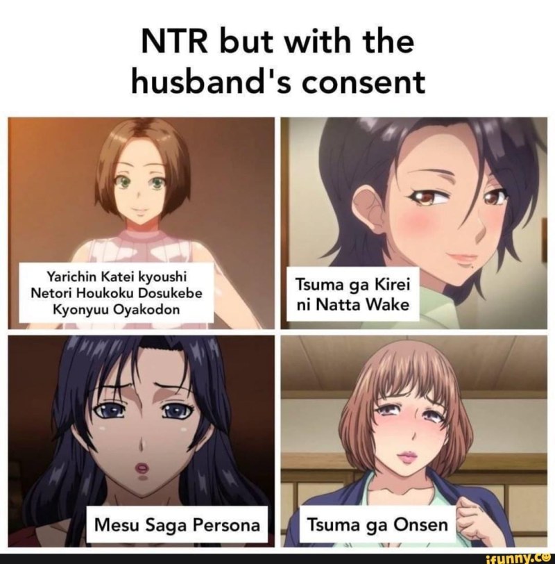 Yarichin Kateikyushi Netori Houkoku anime