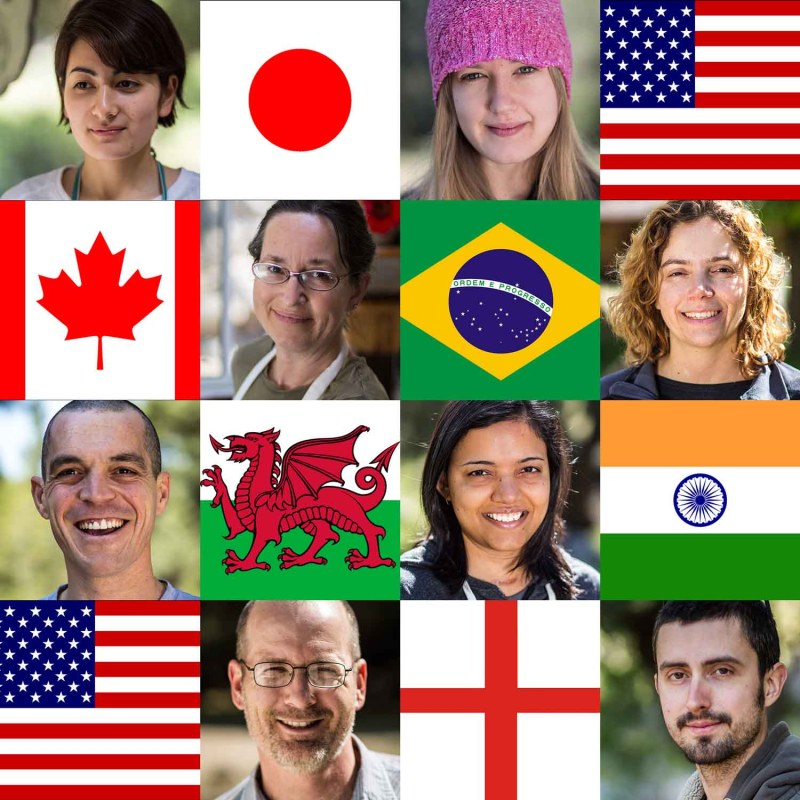 Many women with legs arranged