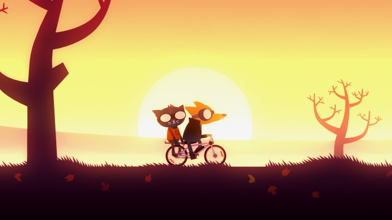 Nitw Casey