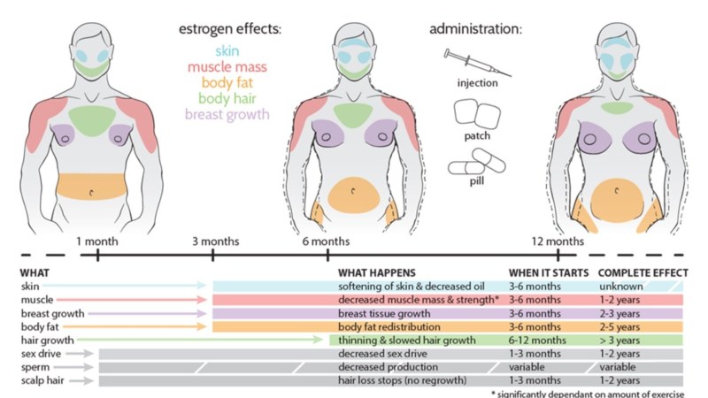Hormonal therapy scheme for mtf