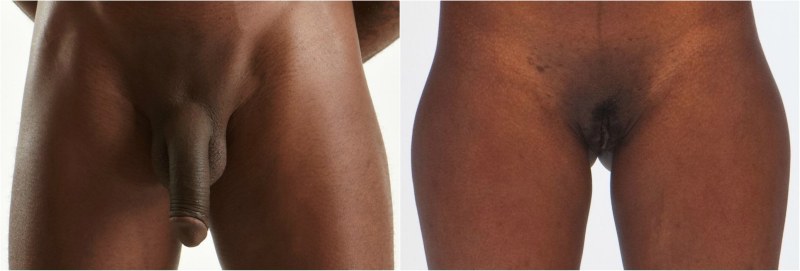 The structure of the genitals of a woman