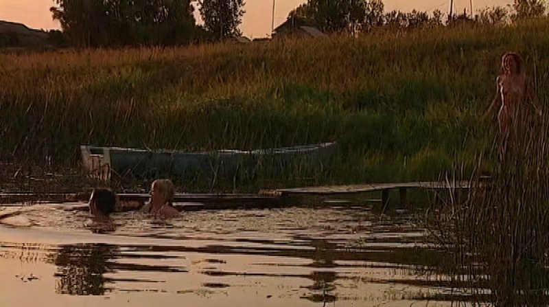 Series of breed Ekaterina Stulova