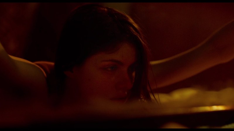 Alexandra Daddario attacker