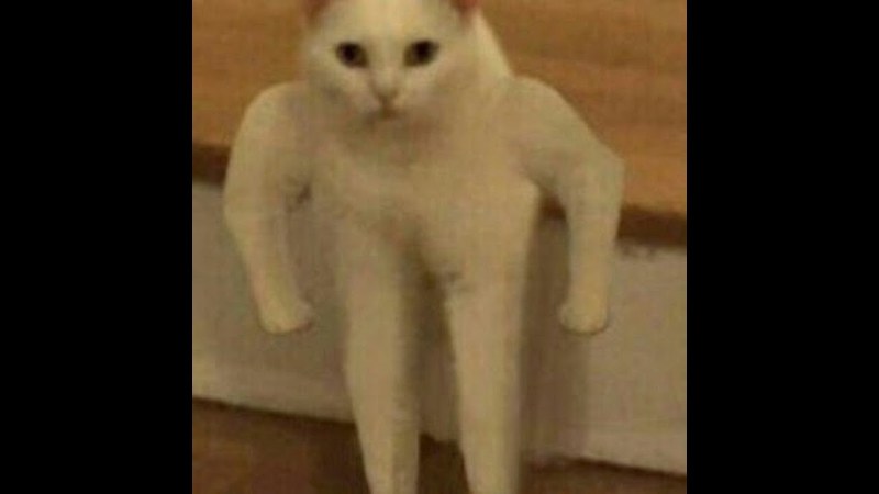 Egor Szhadyvin Sergeevich