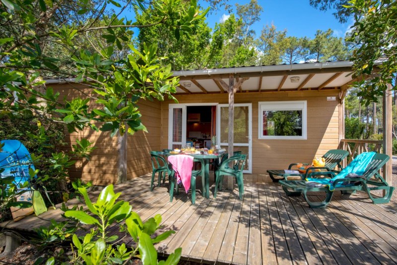 Sauna Business Meeting