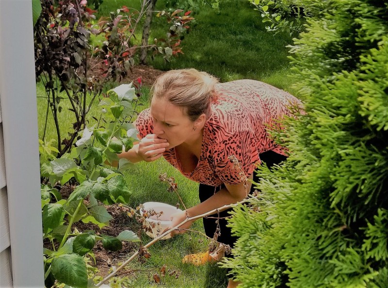 Summer residents in the dacha bra