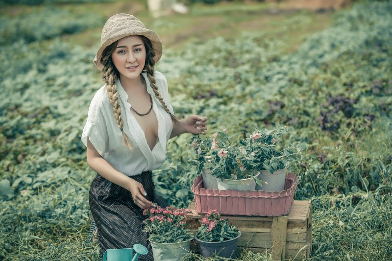 Alina Pivovar Dubnitsky