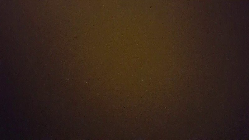 Summer beach children