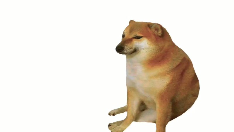 The dog sits with a meme