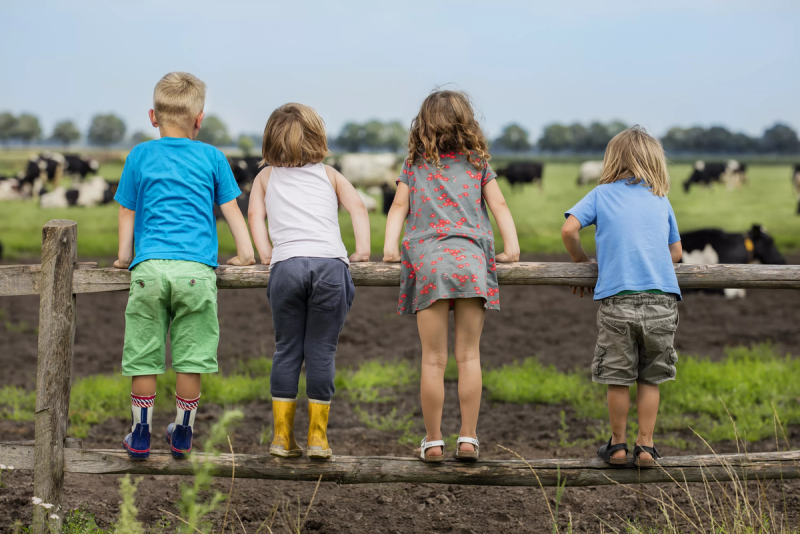 Children on the seashore