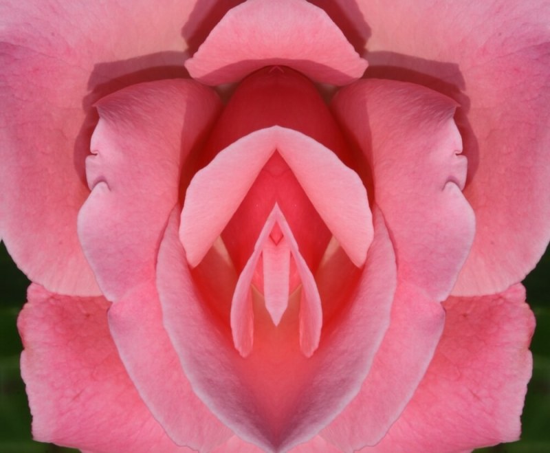 Flower similar to female organs