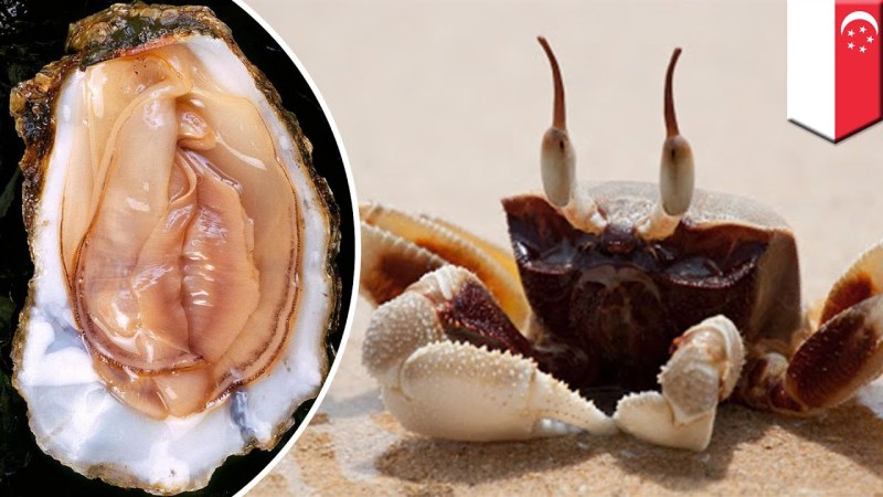 Evelyn Miller two vagina