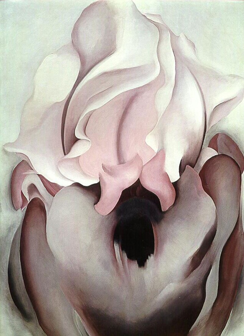 Beautiful drawings gynecology by Dovet Days