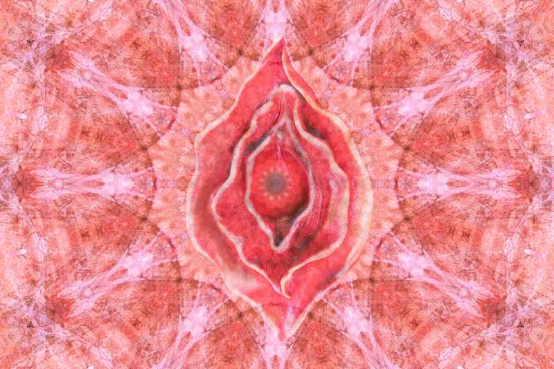 Transparent camel paw