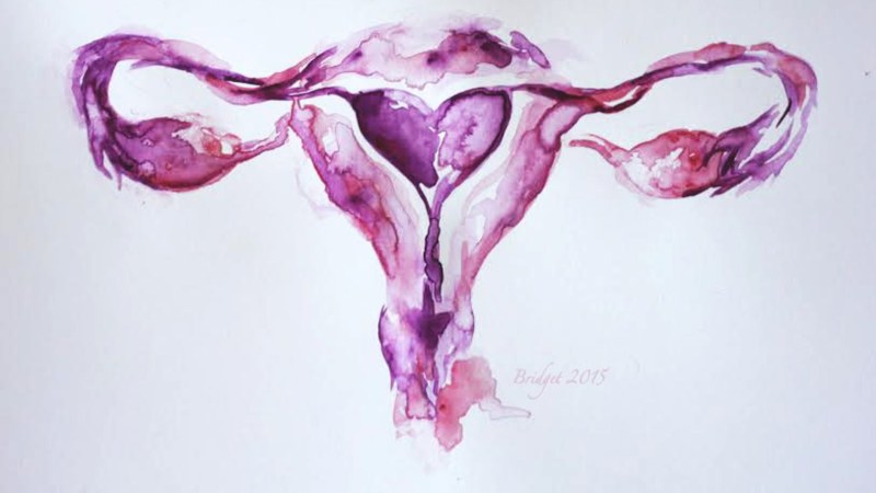 Creative advertising wallet