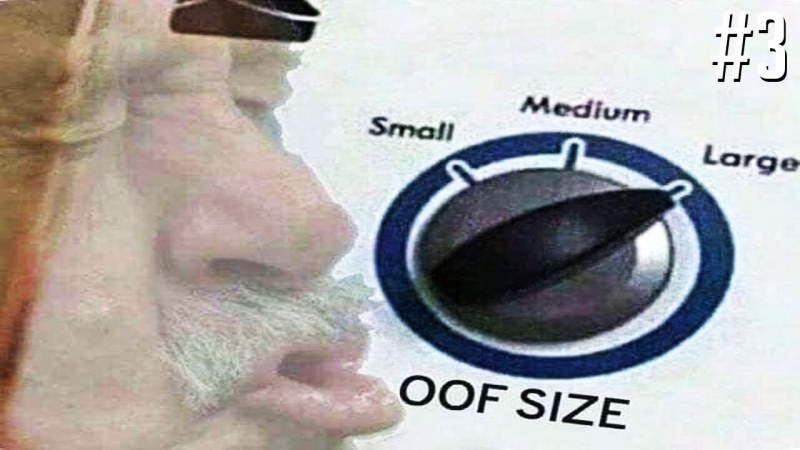 Forms of female vagina