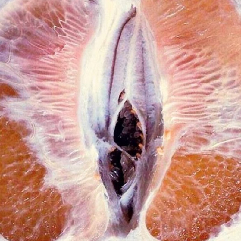 Artistic image of the vagina