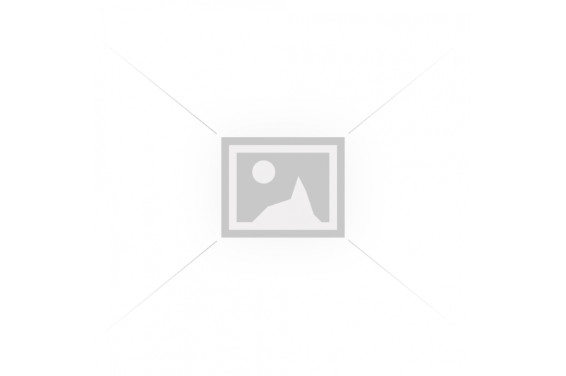 MSI 865GVM2-LS motherboard