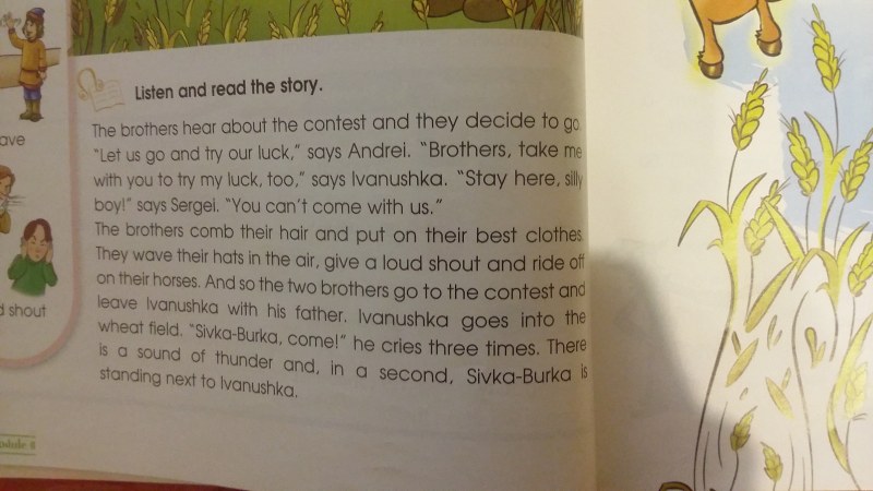 Sauce view from above