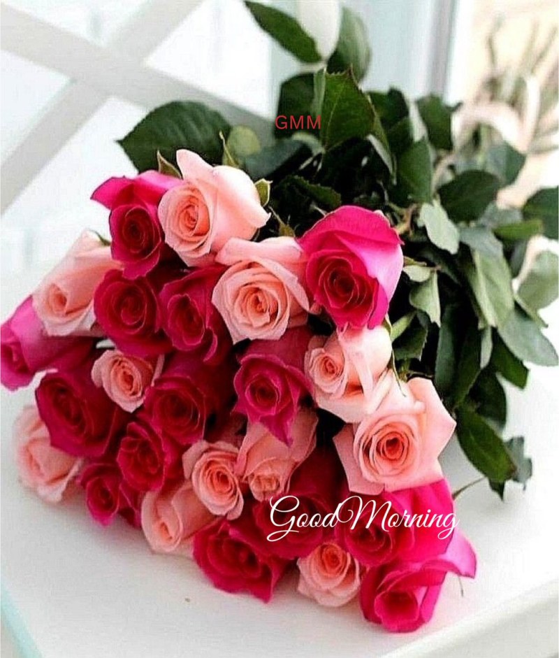 Marinette and Adrian 18