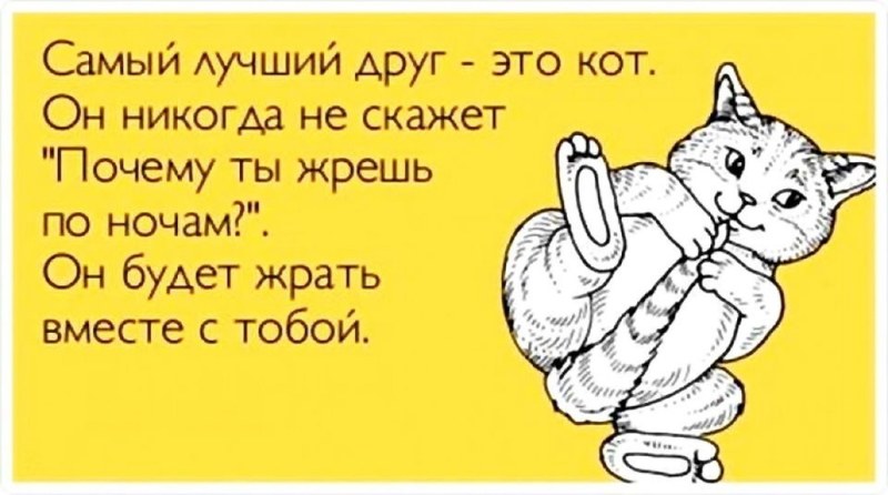 Happy Birthday Congratulations to a man