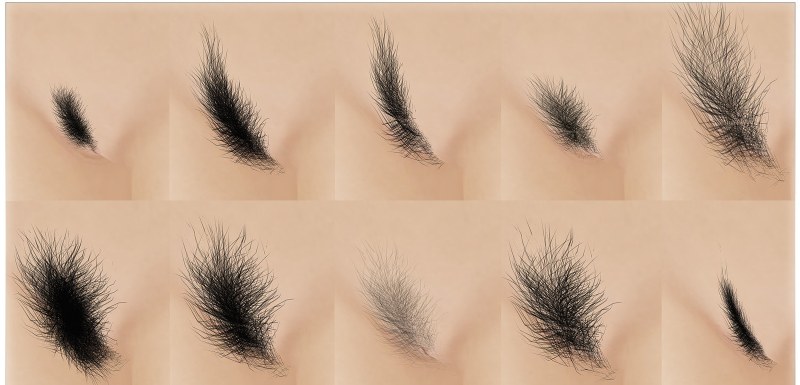 Hairy mature Spreading