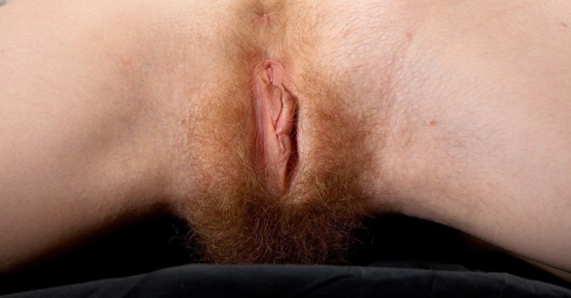 Beautiful hairstyles of vagina