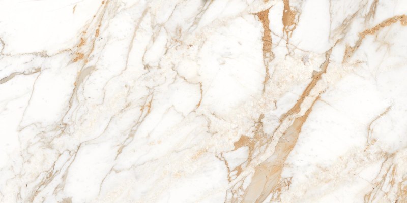 Calacatta ORO 120x60