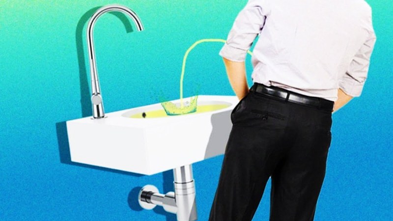 Peed in the sink