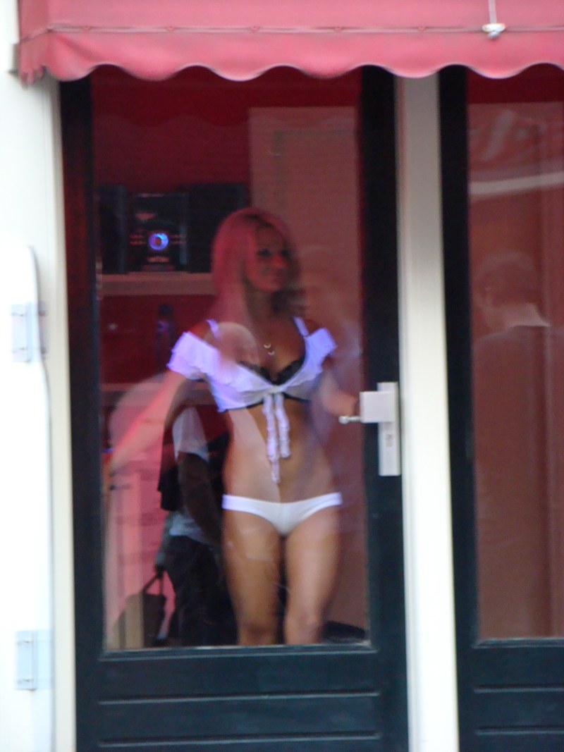 Lilac lights in Amsterdam