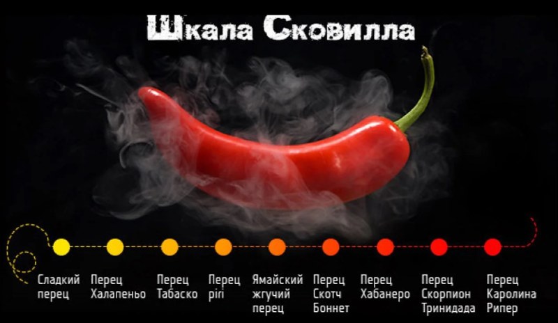 The severity of chili pepper on the scallop