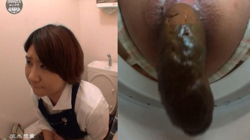 Japanese toilet perversion