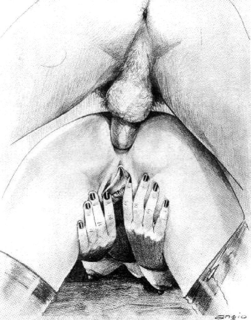Oral fuck in drawings